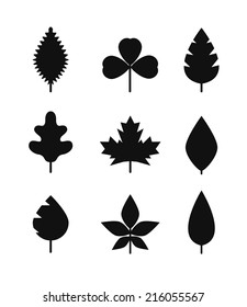 Different leaf silhouettes collection 