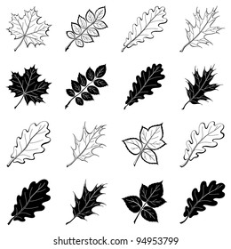 Different leaves, set of black and white pictograms - elements for design. Vector