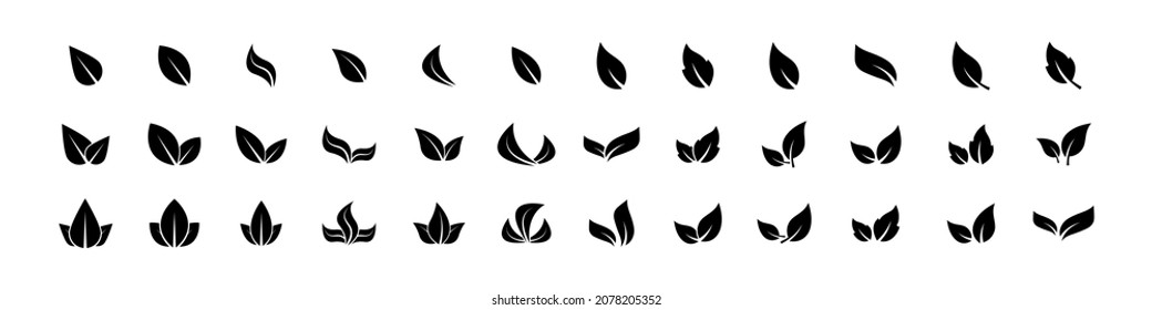 Different leaves shapes. Black leaves icon set isolated on white background. Foliage icons vector set. Eco leaves. Eco, bio sign logo. Vegeterian and vegan signs and sumbols. Vector graphic.