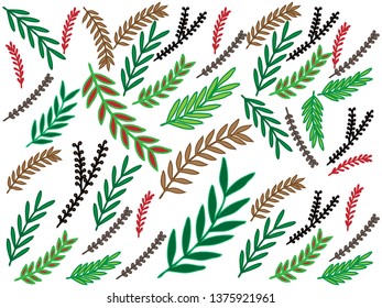different leaves twigs 