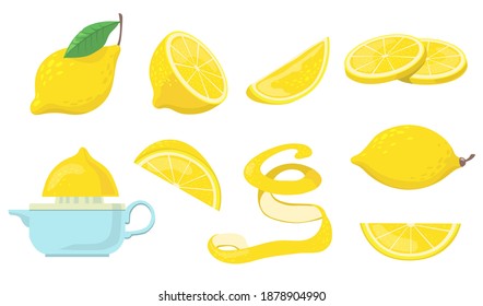 Different lemon pieces flat item set