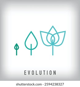 Different linear leaf development stages logo design. Creative evolution design, corporate identity. vector