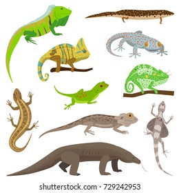 Different lizard reptile animals isolated on white vector illustration.