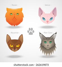 Different luxury cat breeds faces set. See more illustrations in my portfolio.