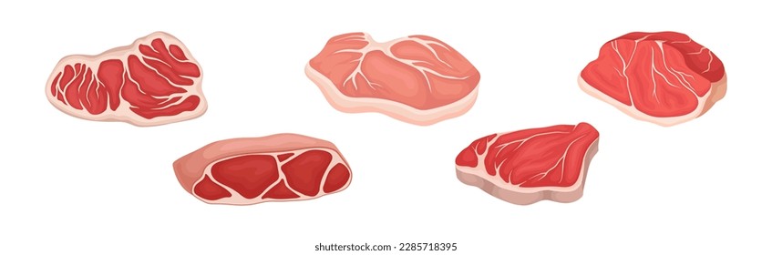 Diferentes productos cárnicos con conjunto de vectores de corte de carne y cordero