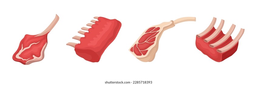 Diferentes productos cárnicos con conjunto de vectores de corte de costillas de carne
