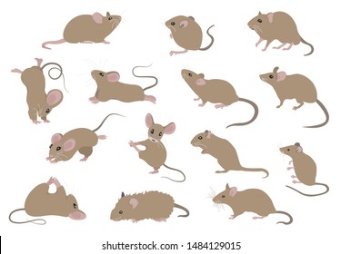 Different Mice. Mouse Yoga Poses And Exercises. Cute Cartoon Clipart Set. Vector Illustration