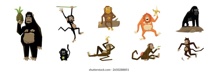 Different Monkey Animal with Long Tail Vector Set