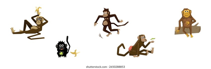 Different Monkey Animal with Long Tail Vector Set