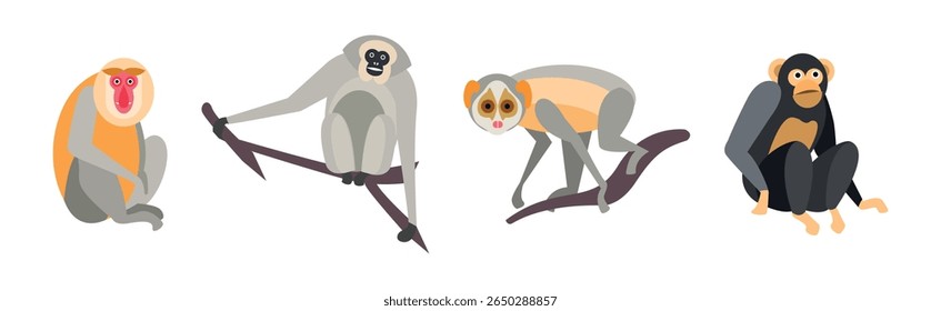 Different Monkey Animal with Long Tail Vector Set