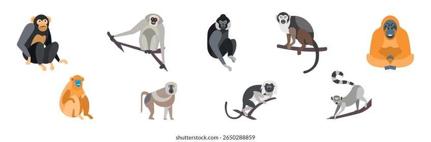 Different Monkey Animal with Long Tail Vector Set