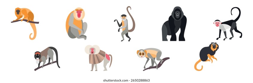 Different Monkey Animal with Long Tail Vector Set