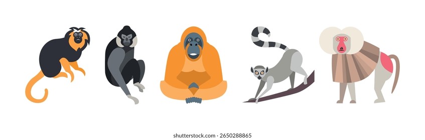 Different Monkey Animal with Long Tail Vector Set
