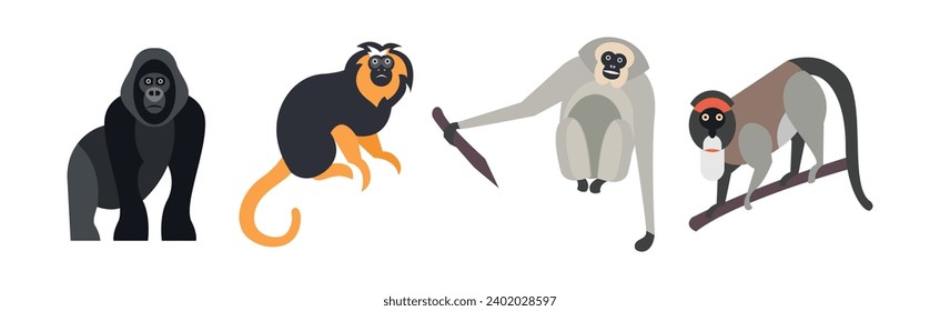 Different Monkey and Ape Animal Zoo Species Vector Set