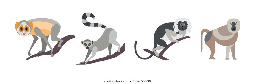 Different Monkey and Ape Animal Zoo Species Vector Set