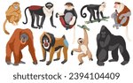 Different monkeys breeds. Cartoon ape characters, wild humanoid animals, different poses funny primates, exotic wildlife, isolated on white background gorilla and orangutan, tidy vector set