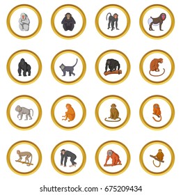 Different monkeys icons circle gold in cartoon style isolate on white background vector illustration