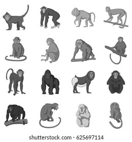 Different monkeys icons set in monochrome style isolated vector illustration
