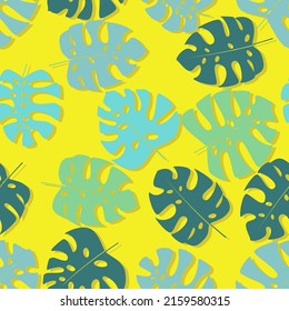 Different monstera leaves on yellow background