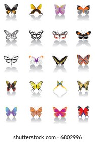 different multicolored butterflies - vector