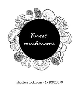 different mushroom hand drawn vector frame. Isolated Sketch organic food drawing template. Champignon, morel, enokitake, porcini, oyster, chanterelle, shiitake. menu, label, product packaging