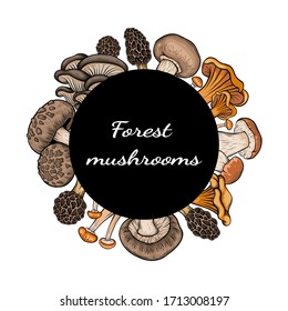 different mushroom hand drawn vector frame. Isolated Sketch organic food drawing template. Champignon, morel, enokitake, porcini, oyster, chanterelle, shiitake. menu, label, product packaging