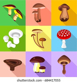 Different mushroom icons set, flat style