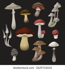 Diferentes cogumelos isolados no fundo preto. Vetor