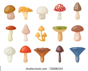 Different mushrooms isolated on white. Vector cartoon illustration