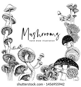 Different mushrooms. Poster, card, t-shirt composition, hand drawn style print. Vector black and white illustration.