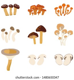 Different mushrooms set on white background. Flat cartoon style. Vector illustration. 