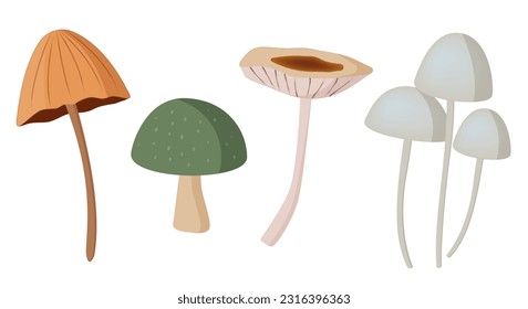 Different mushrooms set. Vector mushroom isolated on white.