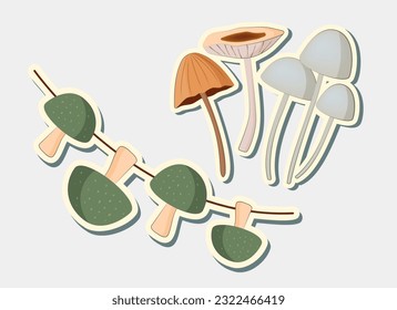 Different mushrooms stickers. Vector stickers mushrooms.