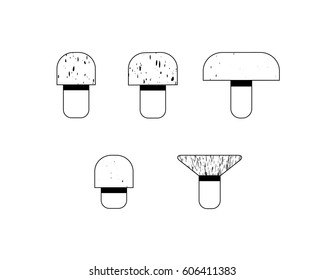  Different mushrooms, vector illustration 