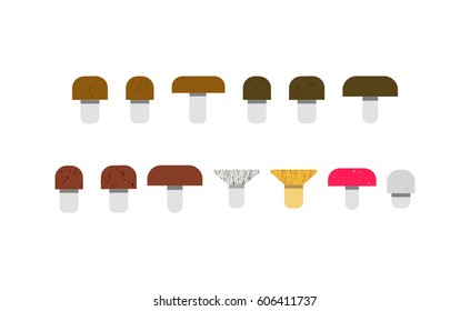  Different mushrooms, vector illustration 