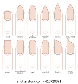 10,973 Nail Types Images, Stock Photos & Vectors | Shutterstock