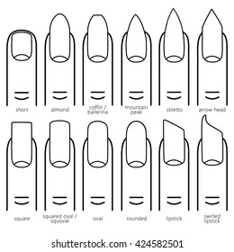 Different Nail Shapes Fingernails Fashion Trends Stock Vector (Royalty ...