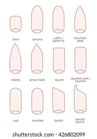 Different nail shapes - Fingernails fashion Trends. Vector illustration.