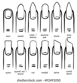 Different nail shapes - Fingernails fashion Trends. Vector illustration of hand-drawn.