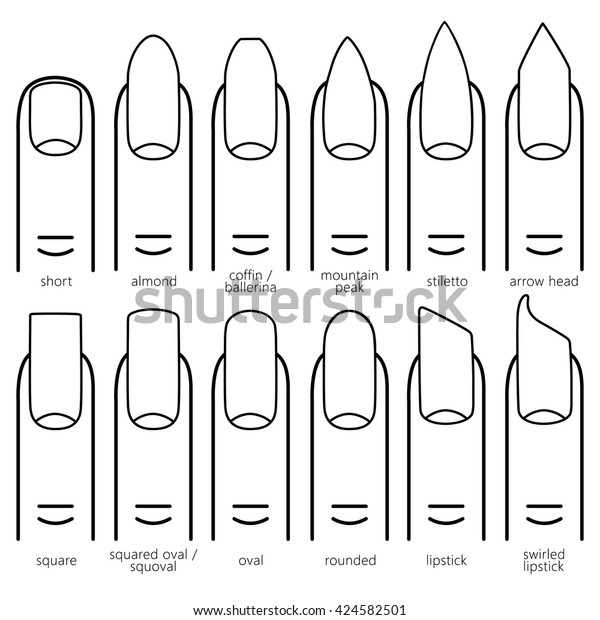Different Nail Shapes Fingernails Fashion Trends Stock Vector (Royalty ...