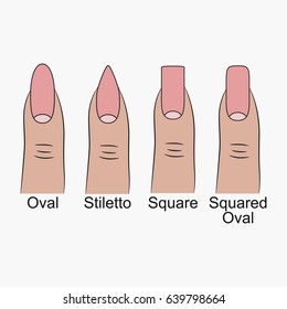 Different nail shapes. Fingernails forms for manicure. Vector illustration.