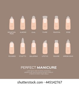 Different nail shapes. Woman fingers. Fingernails fashion trends.. Vector design illustration