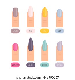 Different nail shapes.Vector icons of manicured fingernails
