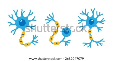 Different neuron cell types with dendrites, axons, and myelin sheaths in scientific cartoon style
