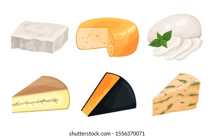 Verschiedene Edelkäse-Vektorillustration-Kollektion. Konzept der Vielfalt von Milchprodukten