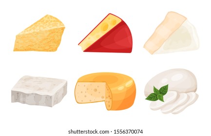 Different Noble Cheese Vector Collection. Dairy Product Diversity Concept