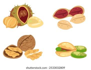 Different nut isolated design element isolated set collection. Vector cartoon hand drawn illustration