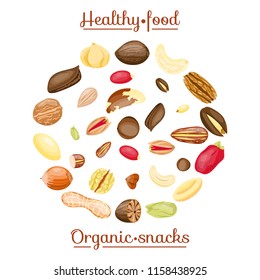 Different nuts in circle form. Set of nuts: nutmeg,macadamia,cashew,pistachio,almond,hazelnut,pecan,peanut,coconut,walnut,brazilian,cedar,pine nut. Flat cartoon vector on white. Healthy, organic snack