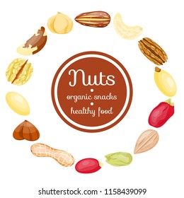 Different nuts in circle form. Set of nuts: nutmeg,macadamia,cashew,pistachio,almond,hazelnut,pecan,peanut,coconut,walnut,brazilian,cedar,pine nut. Flat cartoon vector on white. Healthy, organic snack