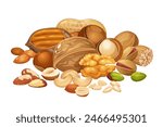 Different nuts collection includes cashew,walnuts,macadamia,brazil nut,pecan,hazelnut,peanut,pistachios,nutmeg,pine nuts,almond.	